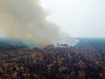 アマゾン熱帯雨林の火災、すでに昨年上回る多さ ブラジル
