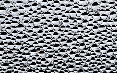 水と細菌胞子で動くエンジン、新動力技術を開発 米大研究