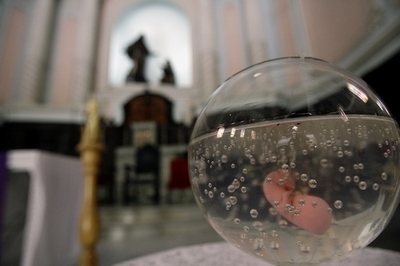 中国でヒトの胎盤取引が活況、栄養源として人気