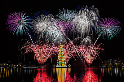 【特集】AFPのベストショット：11月29日～12月5日