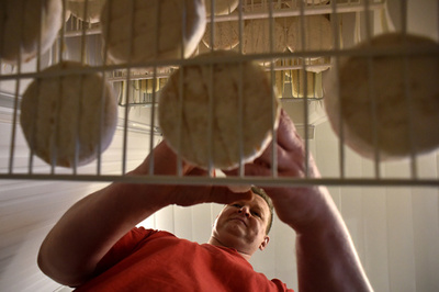 欧州チーズの模造品取引が活発に、禁輸措置で価格も上昇 ロシア