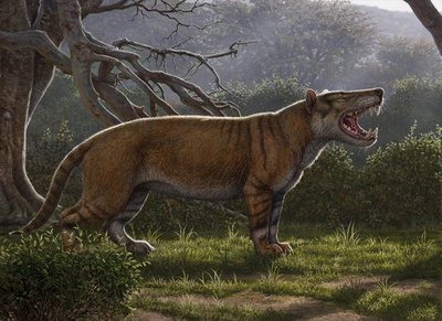 ホッキョクグマより巨大？ 新種の古代ライオン、ケニアで骨と歯を発見