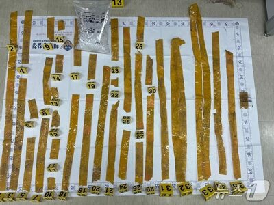 韓国・済州島海岸で「クラブドラッグ」ケタミン66万人分発見…現地警察、専従捜査班を編成