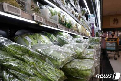 韓国の生鮮食品物価、1年で2桁上昇…値上がり深刻な果物