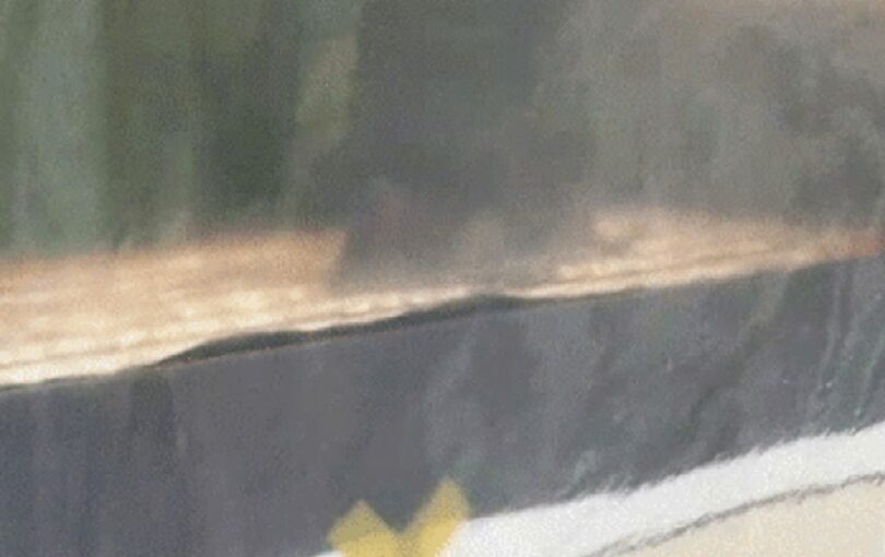 ソウルのある屋台で、たい焼きの食べ残しをかじるネズミの姿がオンラインコミュニティに投稿された＝SNS(c)news1