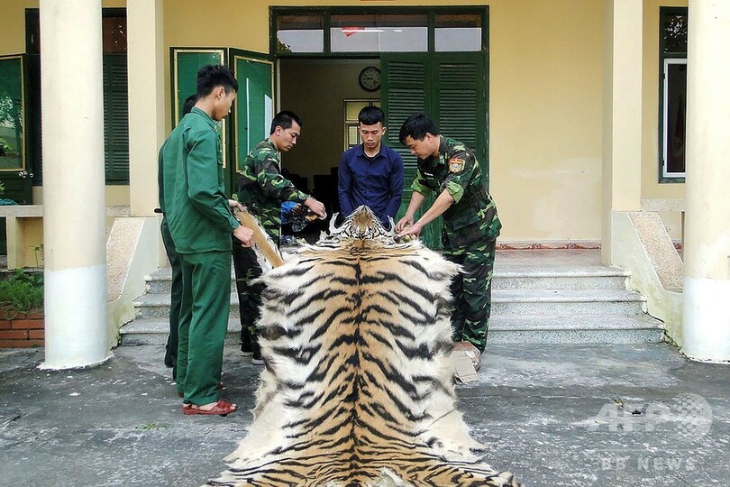 ベトナム 野生動物の輸入を全面禁止 コロナの影響 写真5枚 国際ニュース Afpbb News