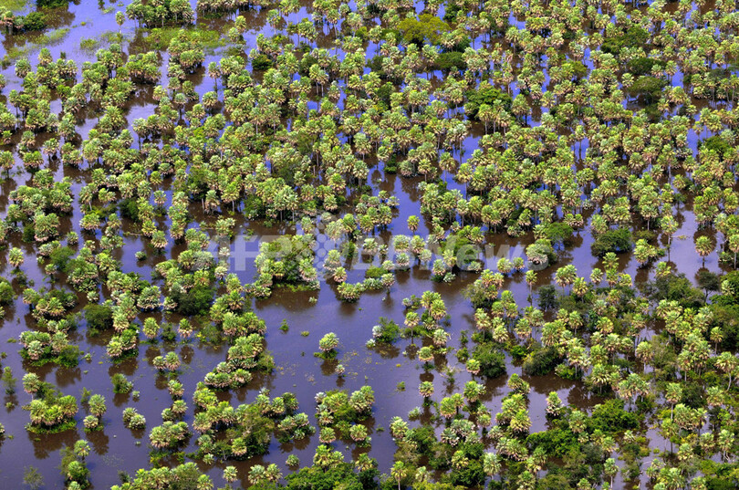 ボリビアの洪水死者、51人以上に