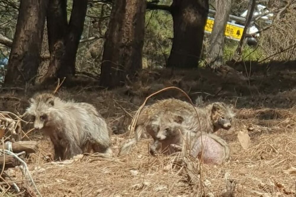 img_63a87f7d4db5360d957b69d1d4