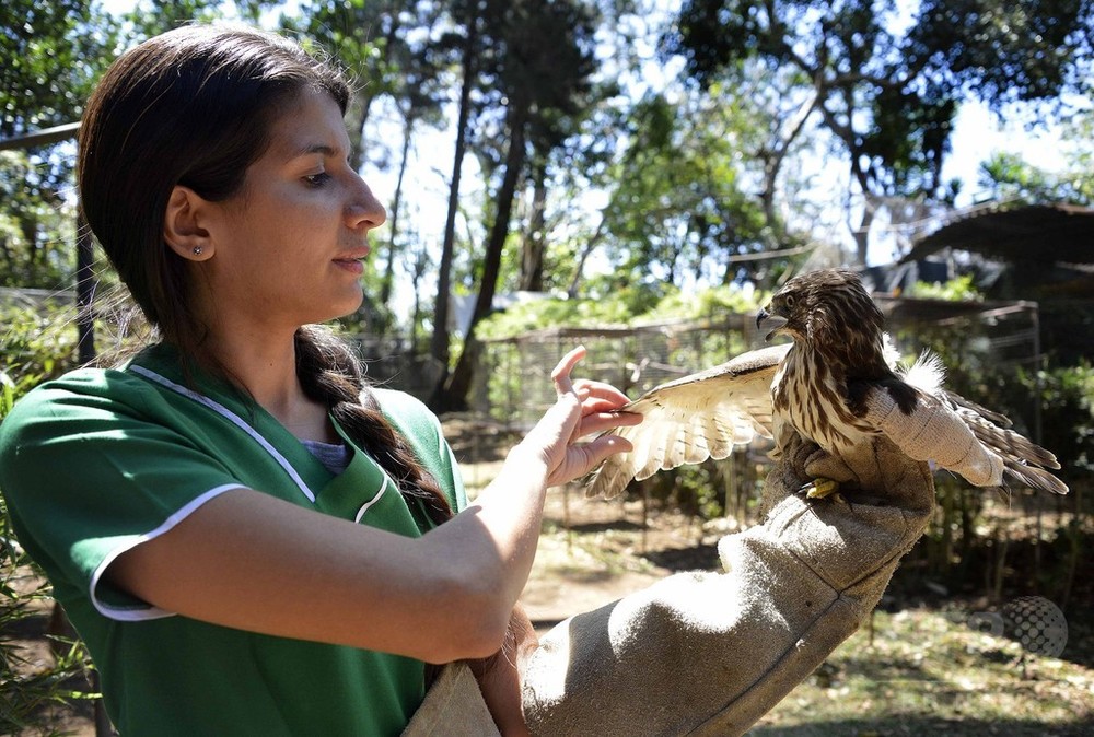 中南米の動物虐待、ソーシャルメディアで認識高まる 写真9枚 国際ニュース:AFPBB News