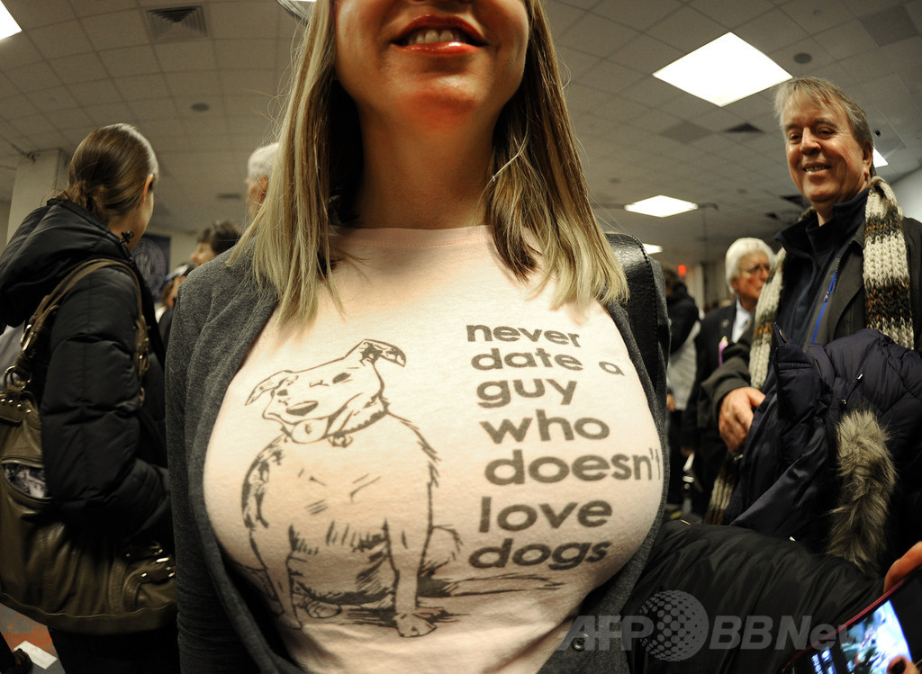 【特集】「美犬」大集合、米ドッグショー写真集