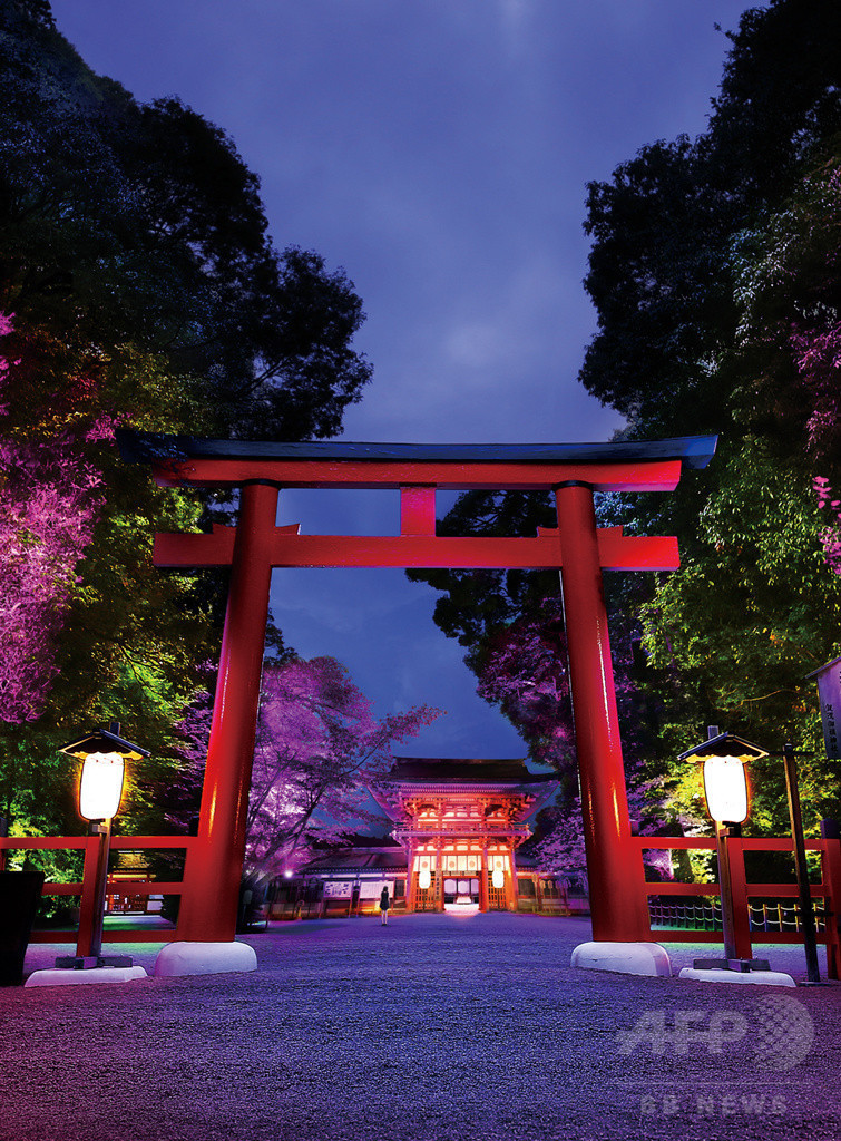 「チームラボ」京都・下鴨神社を光アートでライトアップ