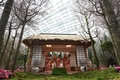 シンガポールの植物園「ガーデンズ・バイ・ザ・ベイ」で開幕した日本をテーマにした「桜祭り」で、伝統の踊りを披露するシンガポール日本人会民謡同好会のメンバーら（2018年3月16日撮影）(c)AFP PHOTO / Roslan RAHMAN