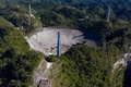 米領プエルトリコで、崩壊したアレシボ天文台の巨大望遠鏡（2020年12月1日撮影）。(c)Ricardo ARDUENGO / AFP