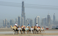 2007年４月2日、ドバイ（Dubai）で建設中の超高層ビル｢ブルジュ・ドバイ（Burj Dubai）｣の前を通るラクダのキャラバン。(c)AFP/KARIM SAHIB