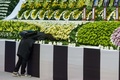 韓国・安山（Ansan）市の体育館に設置された旅客船セウォル（Sewol）号の犠牲者を追悼する献花台を訪れた人（2014年4月23日撮影）。(c)AFP/KIM DOO-HO