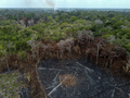 ブラジル・アマゾナス州で、火災により焼失した森林（2023年9月22日撮影、資料写真）。(c)Michael Dantas / AFP