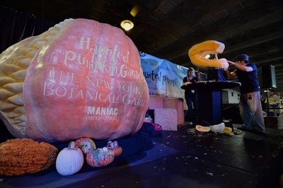 823キロのかぼちゃを芸術作品に仕立てる彫刻家集団、NYの駅で実演