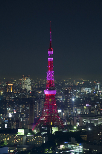 エスティ ローダー グループ「ピンクリボンキャンペーン」乳がんの早期発見を啓発