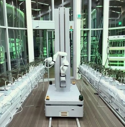 農作物の管理から収穫までテキパキ…“AIロボット農作業員”を作った韓国スタートアップ