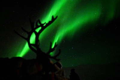 【今日の1枚】オーロラのカーテン、トナカイ放牧地を照らす ノルウェー