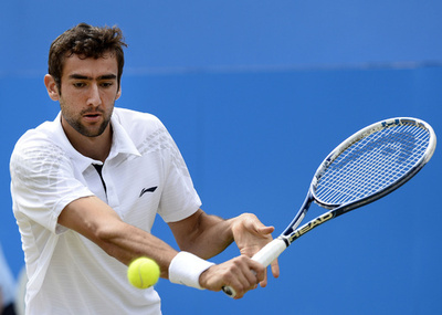 ヒューイットが敗れる、チリッチが準決勝へ エイゴン選手権