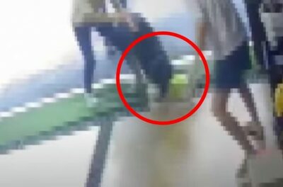 首輪外れたシェパードがチワワに襲いかかる…韓国・治療費約13万円、なのに飼い主失踪