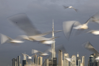 【今日の1枚】カモメが舞う世界一高いビルの空