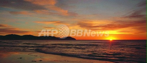 全裸で海水浴 毒グモにかまれ入院 ニュージーランド 写真2枚 ファッション ニュースならmode Press Powered By Afpbb News