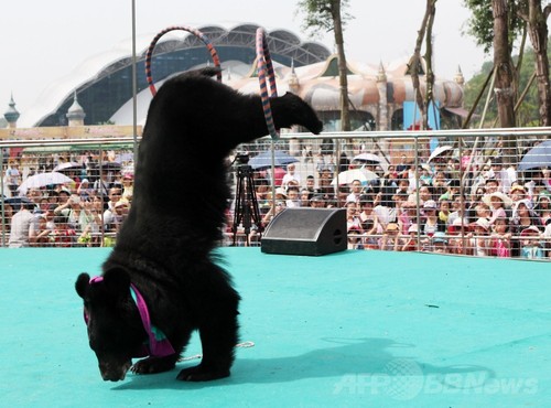 労働節に 動物オリンピック 中国の動物園 写真8枚 ファッション ニュースならmode Press Powered By Afpbb News 労働節に 動物オリンピック 中国の動物園 写真8枚 ファッション ニュースならmode Press Powered By Afpbb News