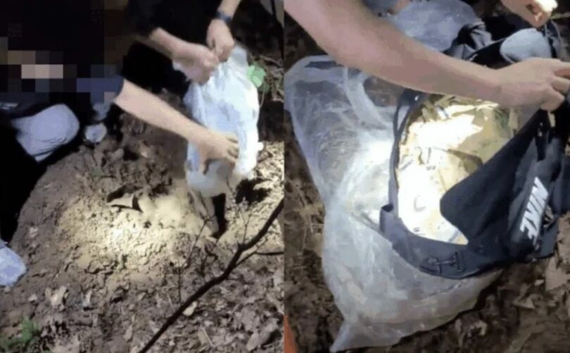 野山に埋められた現金を掘り起こす捜査員＝ソウル永登浦警察署提供(c)MONEYTODAY