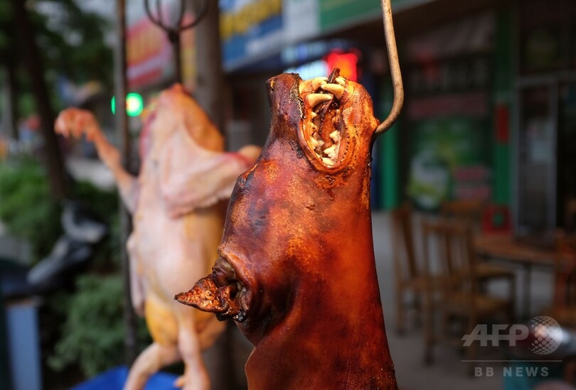 消費量増える犬肉、海外の抗議が裏目に？中国
