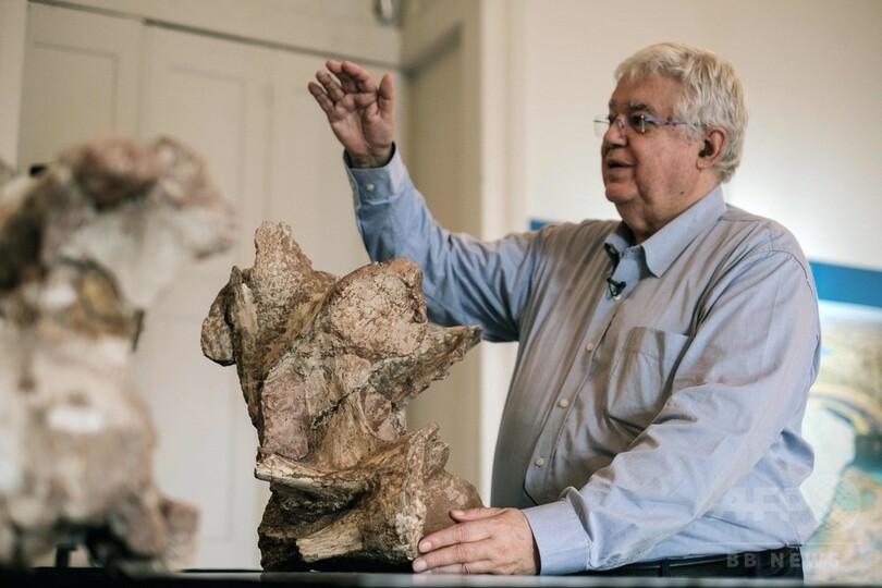 博物館に60年間保管の化石、ブラジル最大の恐竜と判明
