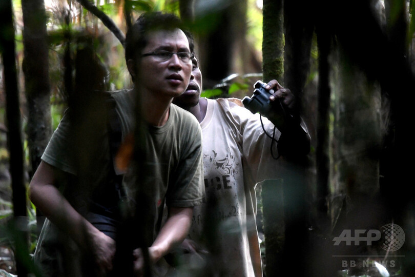 ジャングルから消えゆく鳥たち、地元住民で保護する動き インドネシア