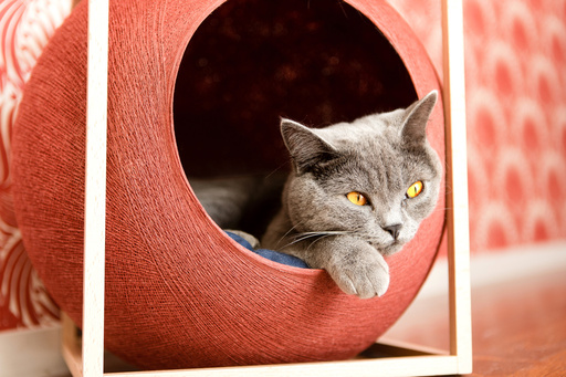 【新品未使用】meyou/ミーユーフランス発キャットハウスThe Cube meyou/ミーユー キャットハウス フランス発のおしゃれなキャットハウス