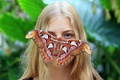 チェコ・ブルノ（Brno）のマサリク大学（Masaryk University）の植物園で、来園者の顔にとまる世界最大級のガ「ヨナグニサン」（2014年9月16日撮影）。(c)AFP/RADEK MICA