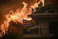 ギリシャ・アテネ郊外で、山火事の中ではためく同国の国旗（2023年8月22日撮影）。(c)Angelos Tzortzinis / AFP

