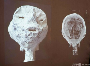 地球外生命体」のミイラは偽物 ペルー政府見解 写真12枚 国際ニュース