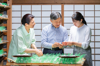 Japan's royal family makes silk in new family photos