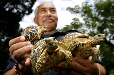 マレーシアに持ち込まれた高価なカメをインドに返還