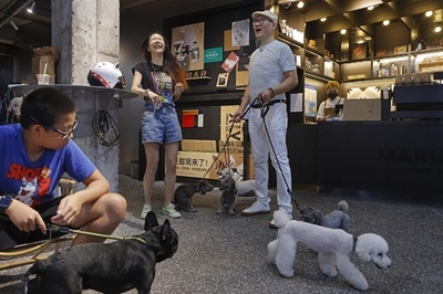 中国で旧正月のペットホテルが高騰 「私の家賃より高い」