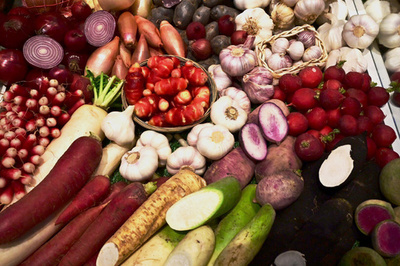 生物多様性が失われ食料供給が危機に、国連機関が初の報告書で警告