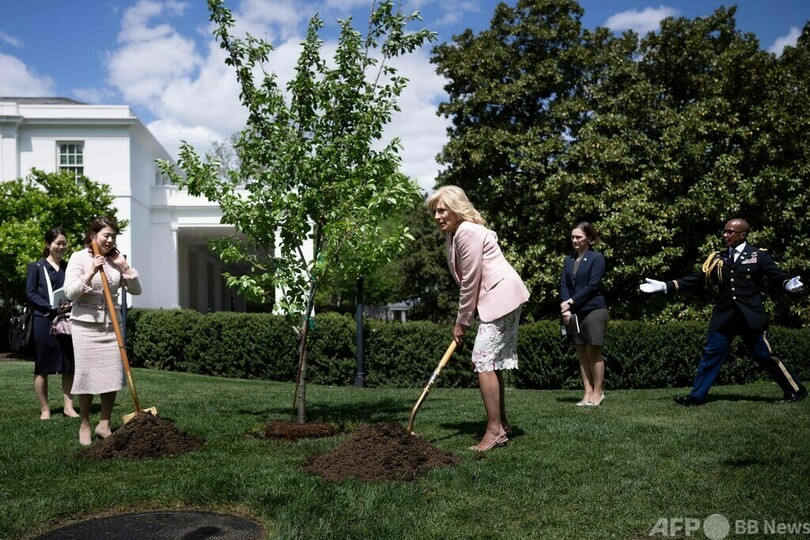 岸田裕子首相夫人がホワイトハウス訪問 桜を植樹