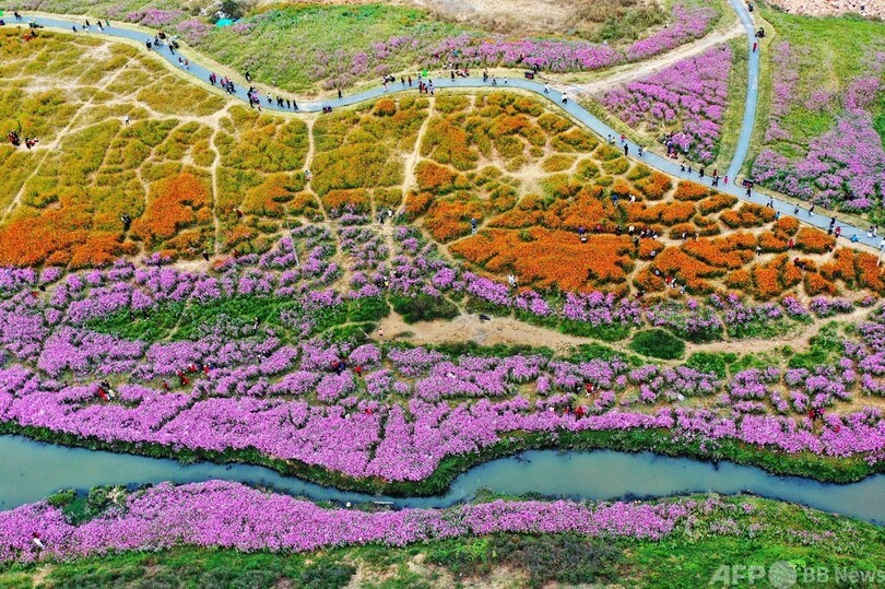 色とりどりに花咲く江西省の「花海」公園 市民たちが「日常の喜び」を堪能