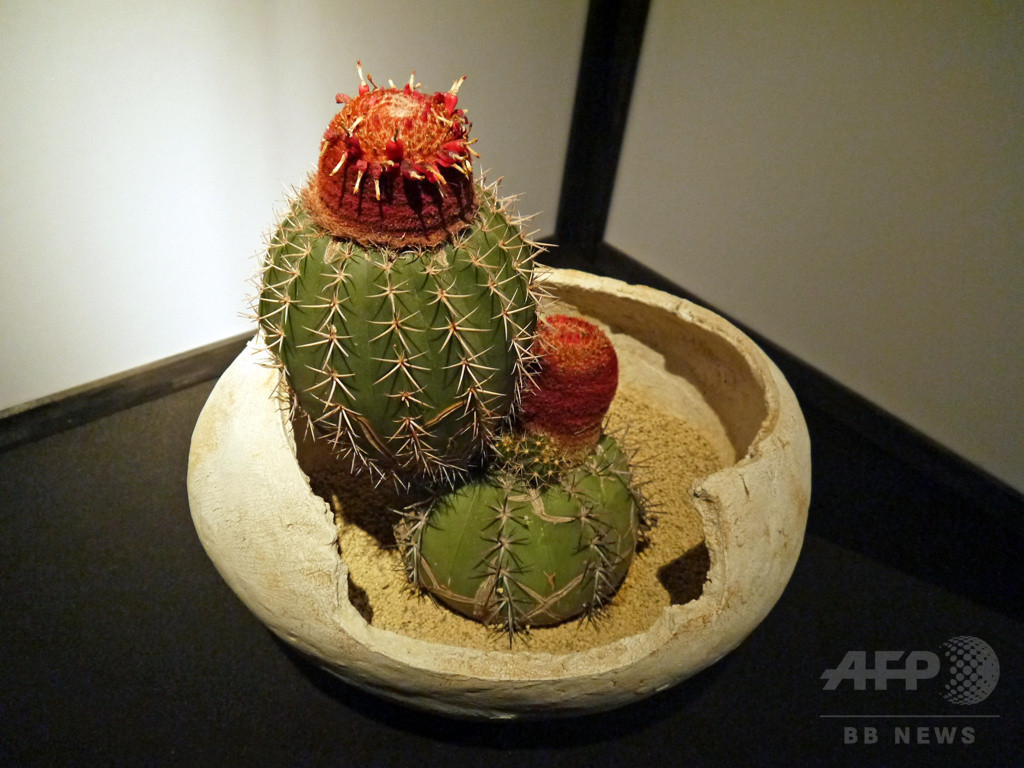 「ウルトラ植物博覧会」が銀座にカムバック