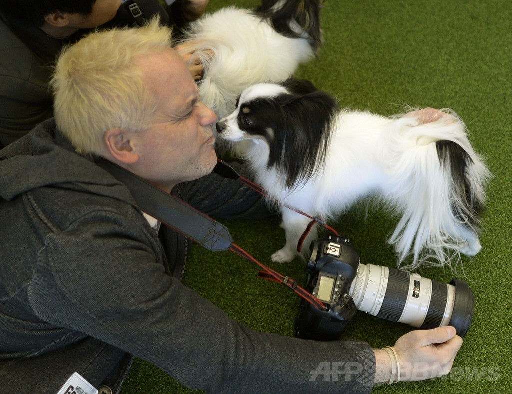 シンクロナイズド犬？米NYで老舗ケンネルクラブが初大会アピール