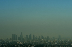 化石燃料事業への資金提供、日米銀が主導 23年報告書