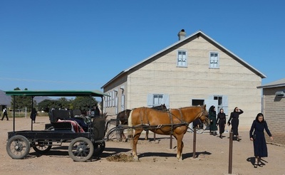 メノー派の孤立共同体、まれなネット接続でパンデミック知る メキシコ