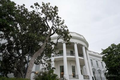 第7代米大統領が植えた老木、伐採へ 樹齢約200年