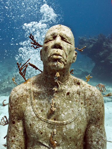 魚たちも鑑賞、「海中博物館」でサンゴ礁守れ メキシコ