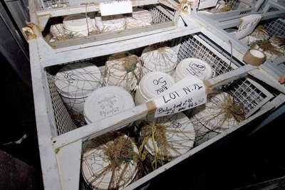 セレブの麻薬所持を大目に見ると若者に悪影響、国連機関が報告